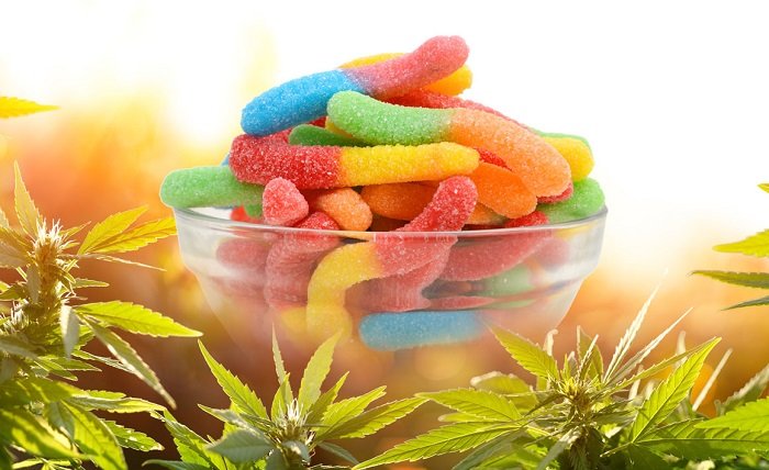 CBD Gummies